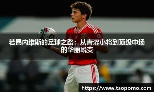 若昂内维斯的足球之路：从青涩小将到顶级中场的华丽蜕变