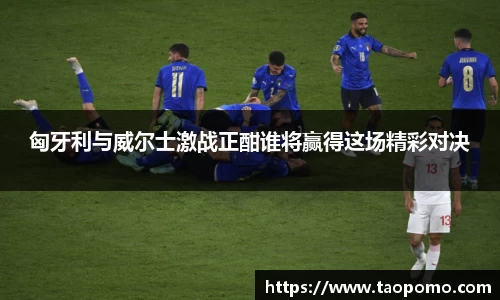 匈牙利与威尔士激战正酣谁将赢得这场精彩对决