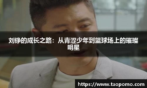 刘铮的成长之路：从青涩少年到篮球场上的璀璨明星