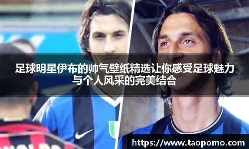 足球明星伊布的帅气壁纸精选让你感受足球魅力与个人风采的完美结合